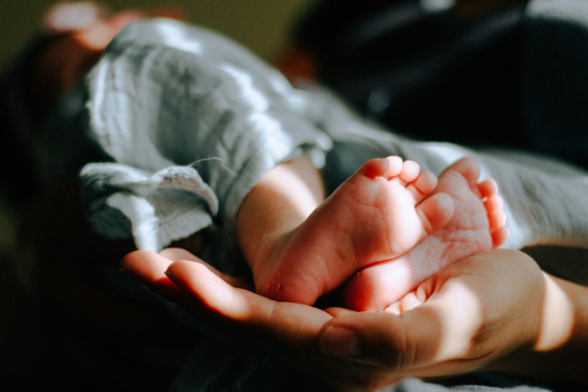 A parent's hands gently cradling a newborn baby's bare feet in warm, soft sunlight