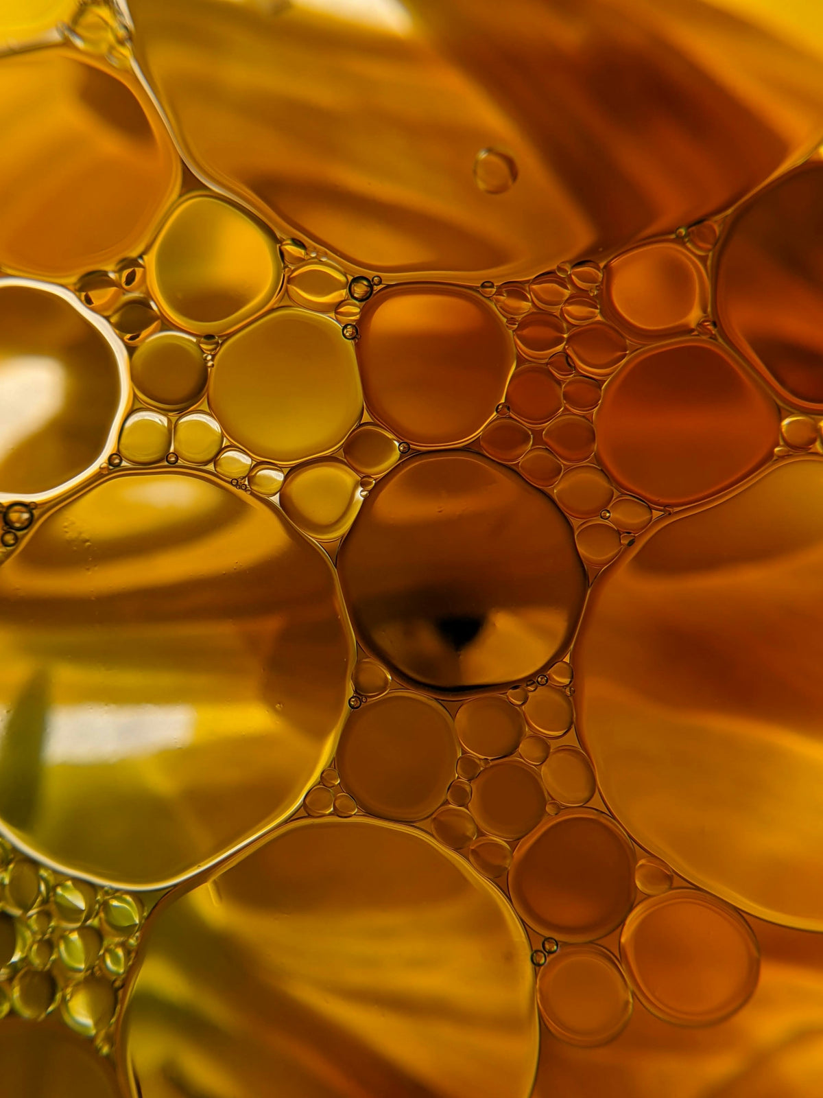 Macro close-up of golden oil bubbles floating in water, glowing in warm amber tones, showing how fat and water separate