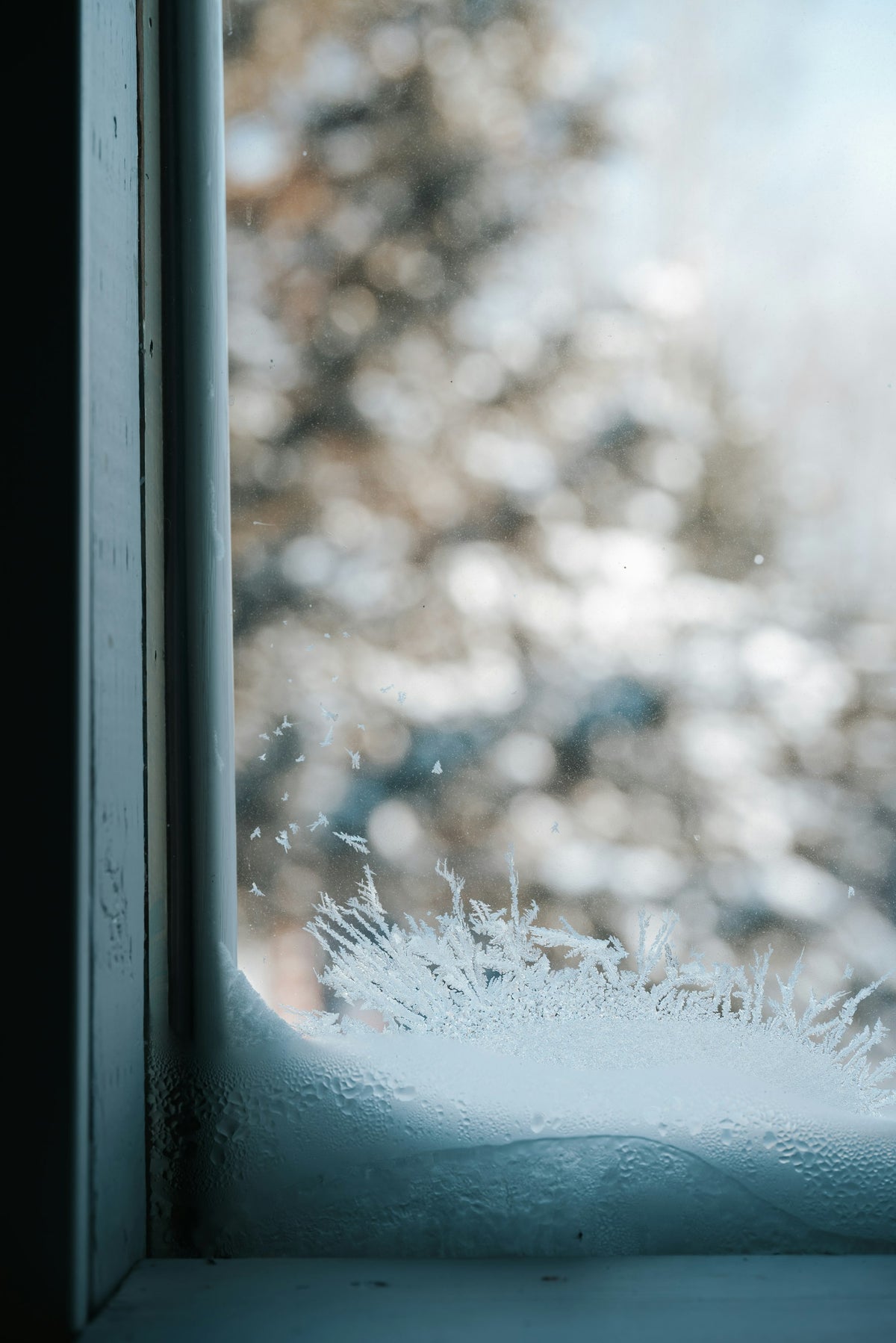 Delicate ice frost crystals spreading across a window pane in winter, showing how cold, dry air pulls moisture out of everything it touches, including skin.